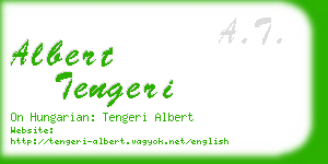 albert tengeri business card